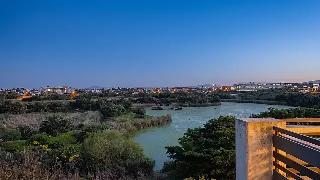 Intaka Island Century City: How a Wetland Became the Natural Heart of the Precinct