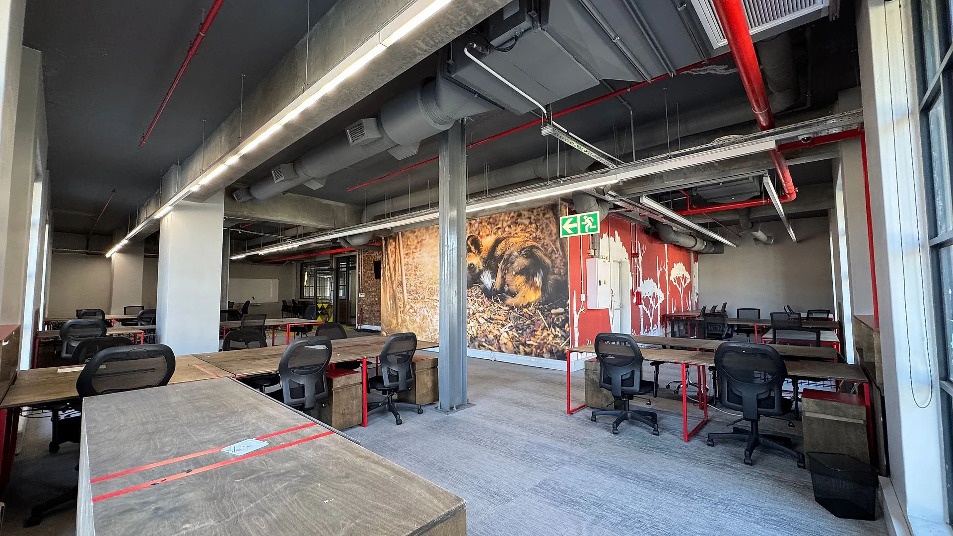 Office layout at Rhino Building, Woodstock