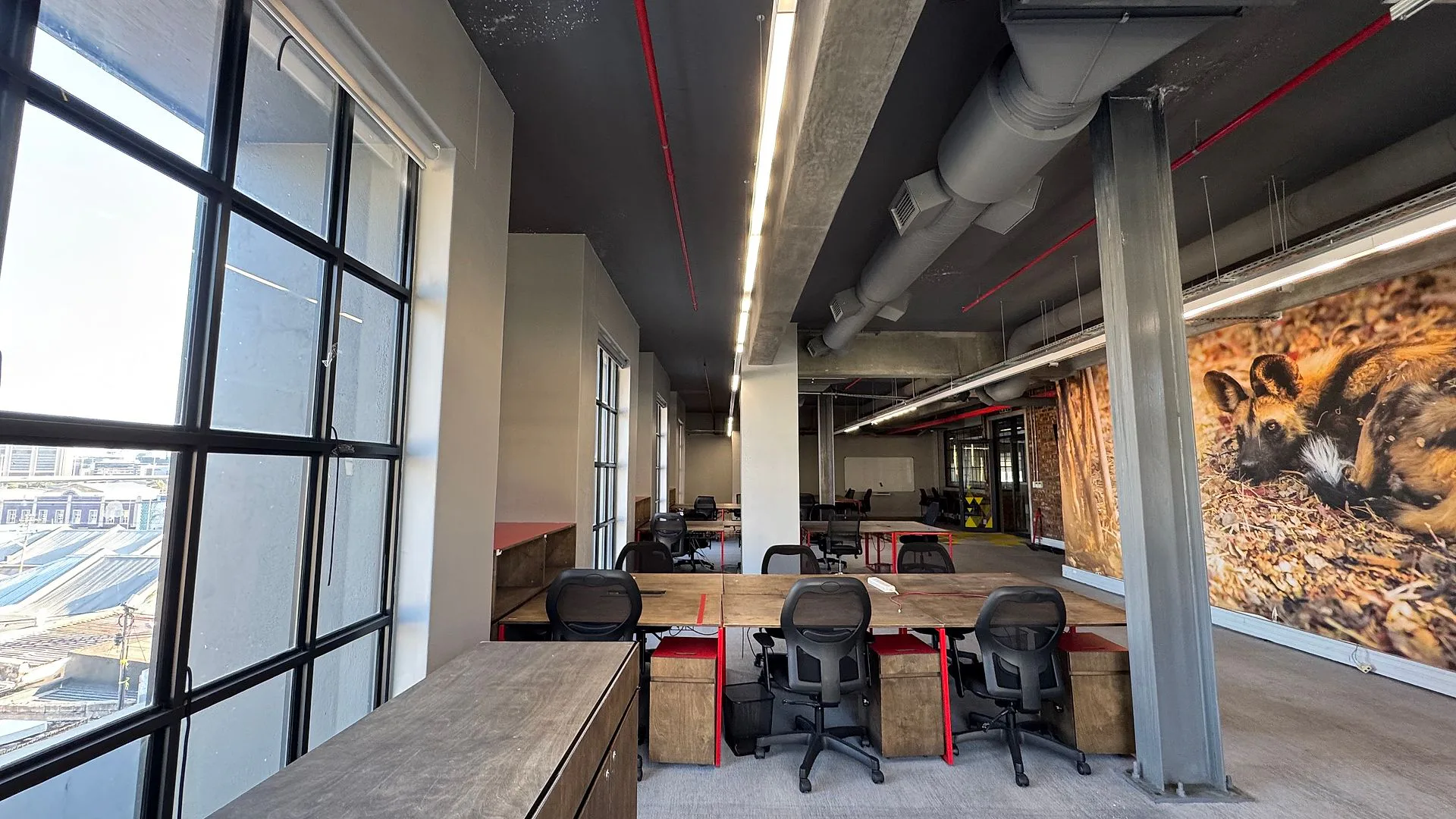 Rhino Building, available office to let in Woodstock