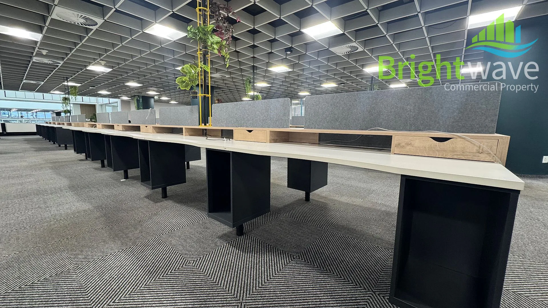 Open plan office area at Mutual Park