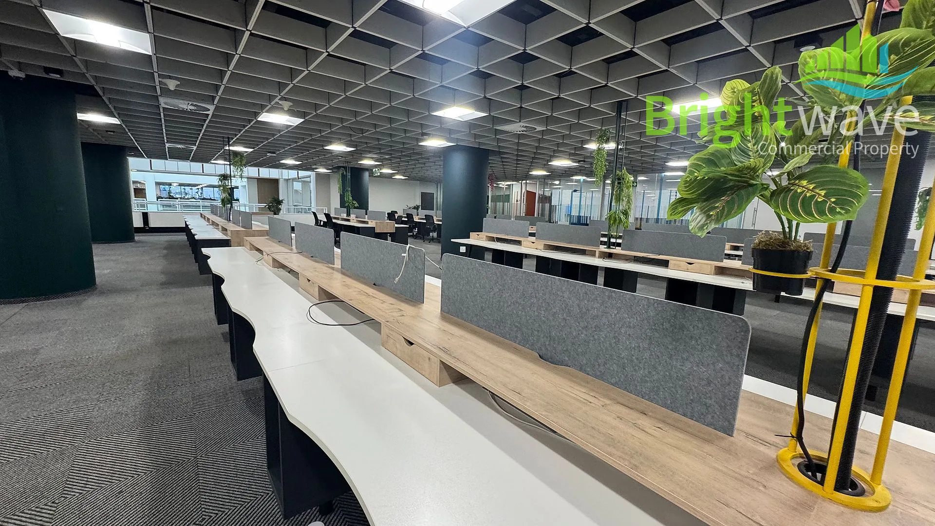 Office layout at Mutual Park, Pinelands
