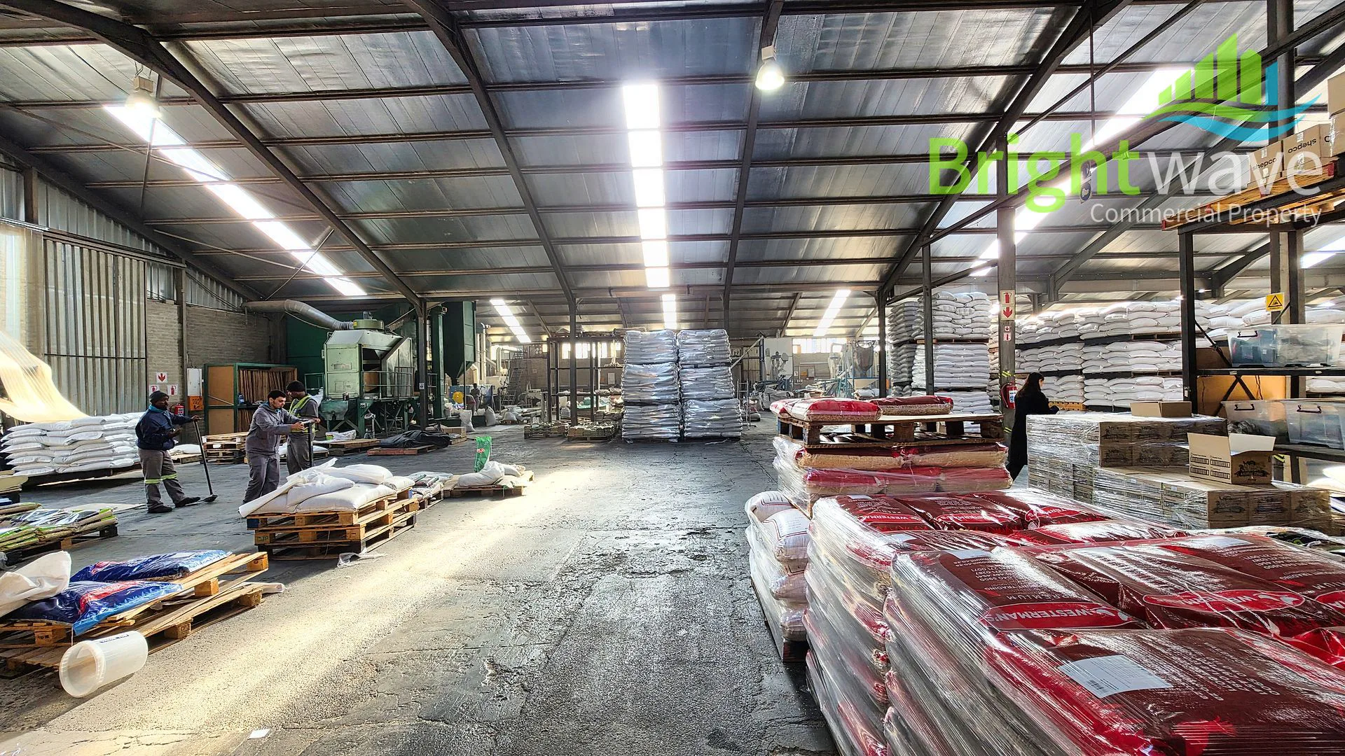 Open plan industrial area at 5 Morgenster Street