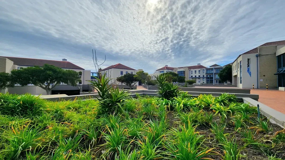 The Estuaries, Century City - building photo 1