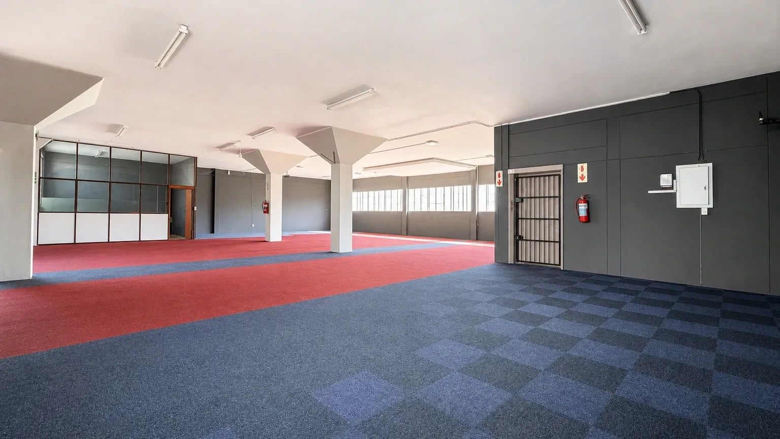 Open plan office area at 329 Albert Road