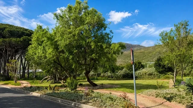 Amdec House | Steenberg Office Park, Westlake - building photo 4