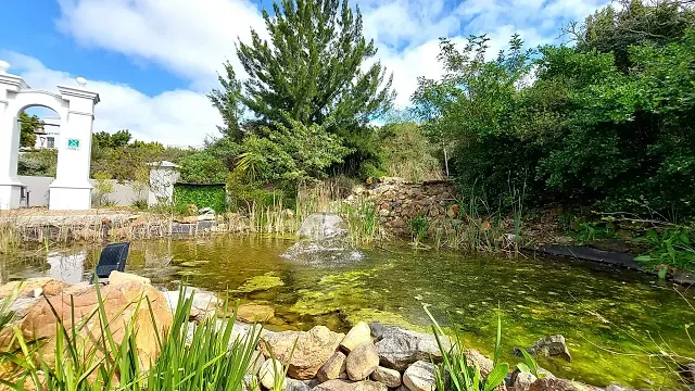 Vineyards Office Estate, Durbanville - building photo 11