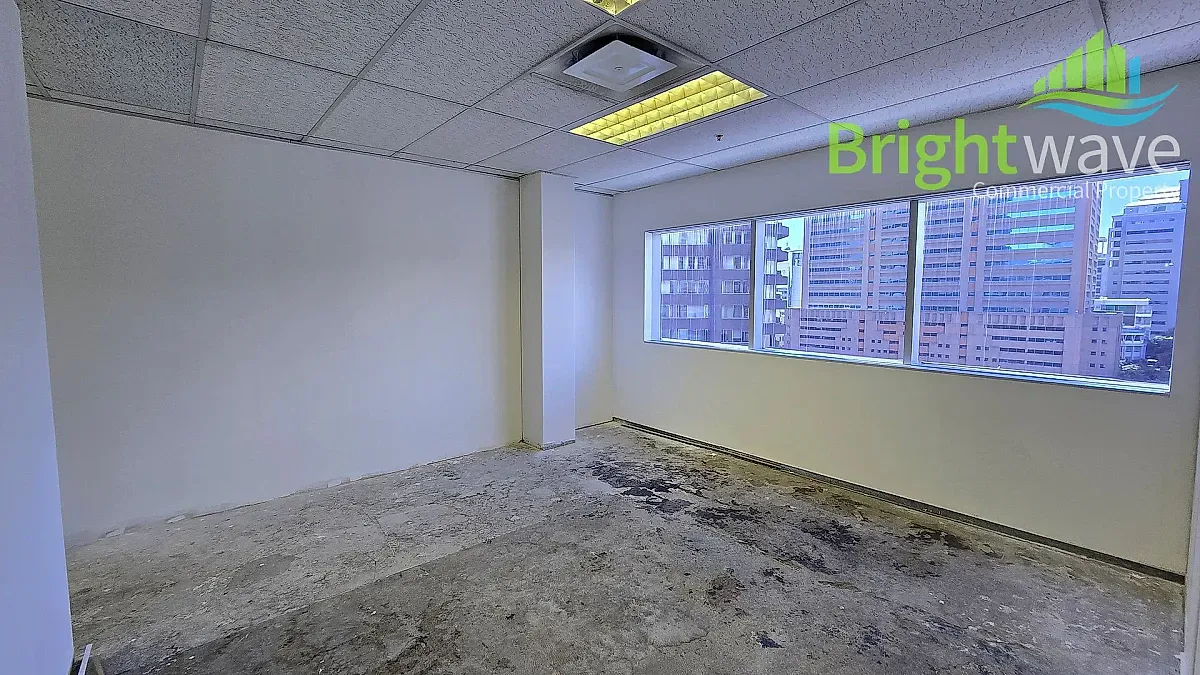 Open plan office area at 8 Riebeek Street