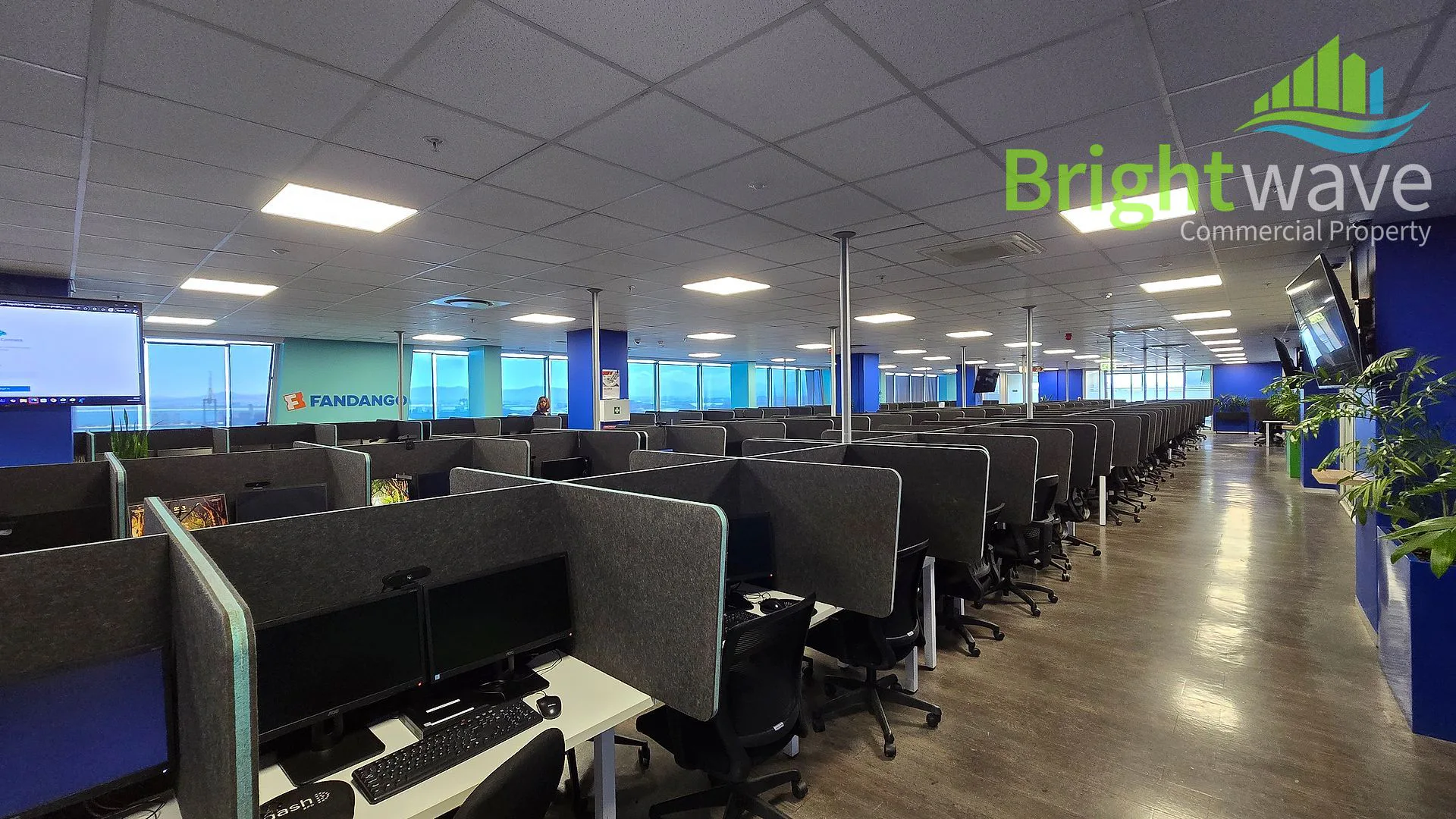 Open plan office area at The Halyard
