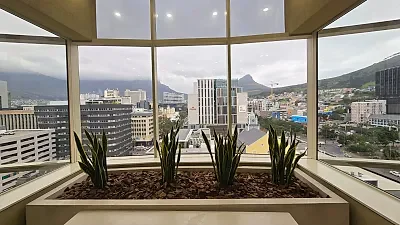 Open plan office area at The Terraces